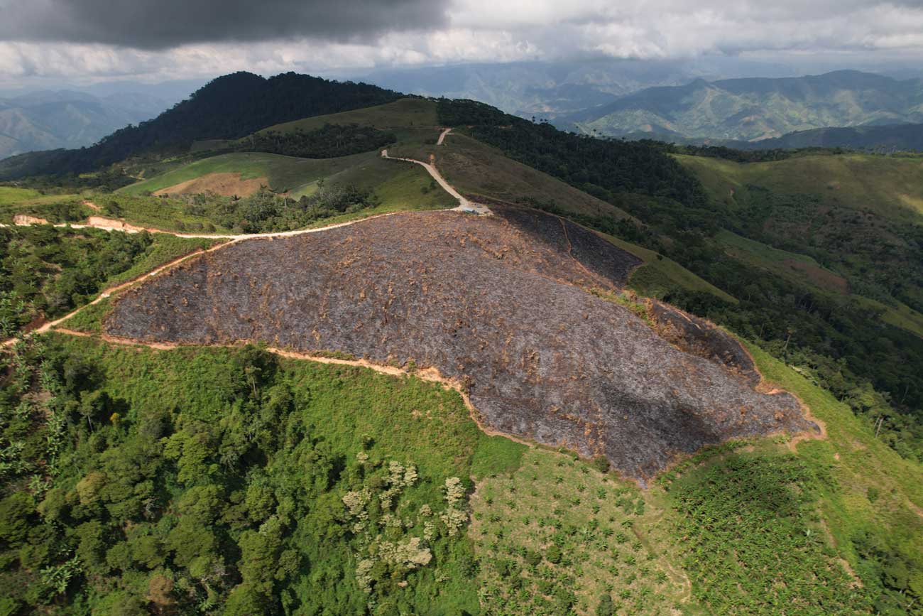 Destrucción en montañas